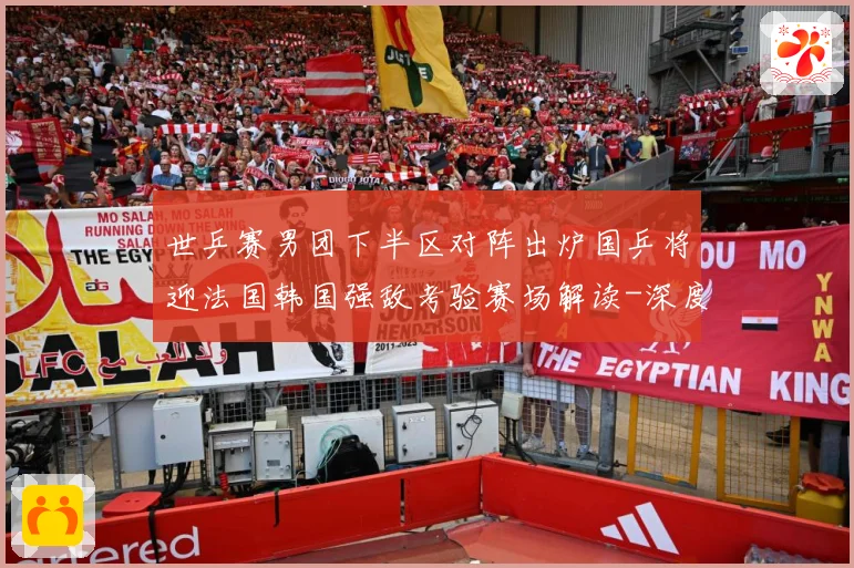 世乒赛男团下半区对阵出炉国乒将迎法国韩国强敌考验赛场解读-深度解析